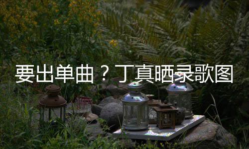 录歌录了图发单曲丁的歌要出一首高兴文真晒